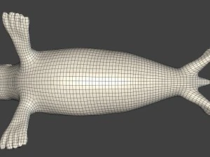 common seal rigged 3D Model