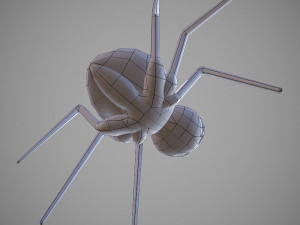 spider cartoon 3D Model