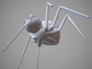 spider cartoon 3D Model