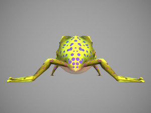 frog cartoon 3D Model