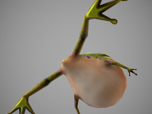 frog cartoon 3D Model