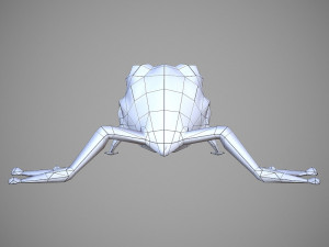 frog cartoon 3D Model