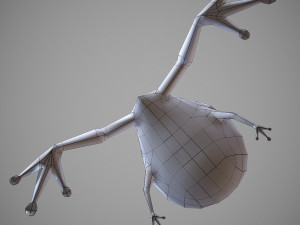 frog cartoon 3D Model