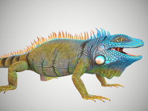 american iguana 3D 模型