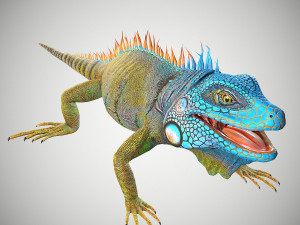 american iguana 3Dモデル