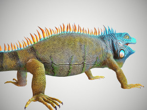 american iguana 3Dモデル