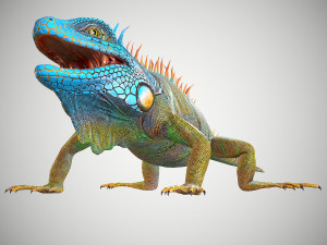 american iguana 3Dモデル
