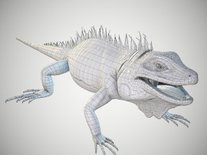 american iguana 3Dモデル