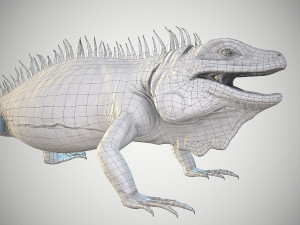 american iguana 3Dモデル