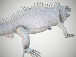 american iguana 3Dモデル