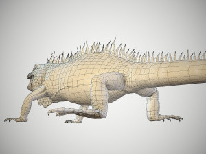 american iguana 3Dモデル
