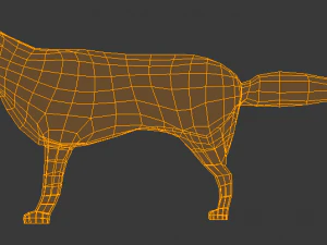 wolf 3D Model