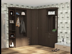 wardrobe the name cascade 3D Модель