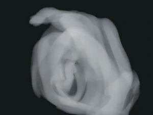 Smoke 3 3D Model