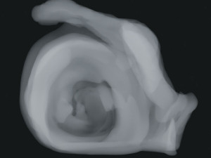 Smoke 3 3D 模型