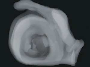 Smoke 3 3D Model