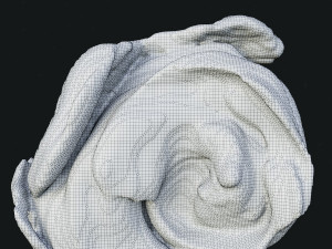 Smoke 3 3D 模型