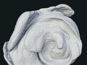 Smoke 3 3D Model