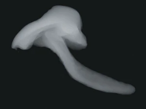 Fuma&ccedil;a 4 Modelo 3D