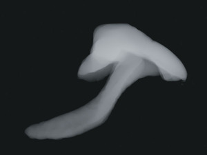 Smoke 4 3D Model