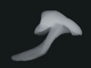 Smoke 4 3D Model