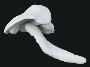 Smoke 4 3D Model