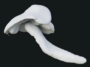 Smoke 4 3D Model