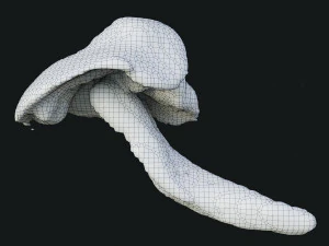 Smoke 4 3D Model