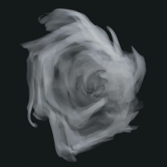 Fumée 5 Modèle 3D .c4d .max .obj .3ds .fbx .stl .blend