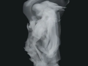 Fum&eacute;e 5 Modèle 3D