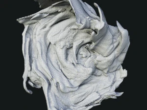 Fum&eacute;e 5 Modèle 3D