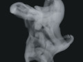 Smoke 10 3D Models