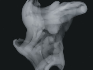 Smoke 10 3D Модель