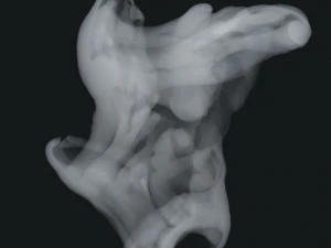 Smoke 10 3D Model