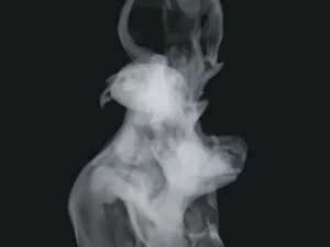 Smoke 11 3D Model