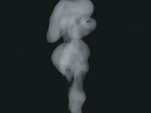 Smoke 12 3D Model