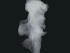 Rauch 13 3D Modell