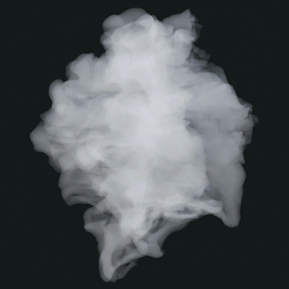 Rauch 17 3D Modell .c4d .max .obj .3ds .fbx .stl .blend 