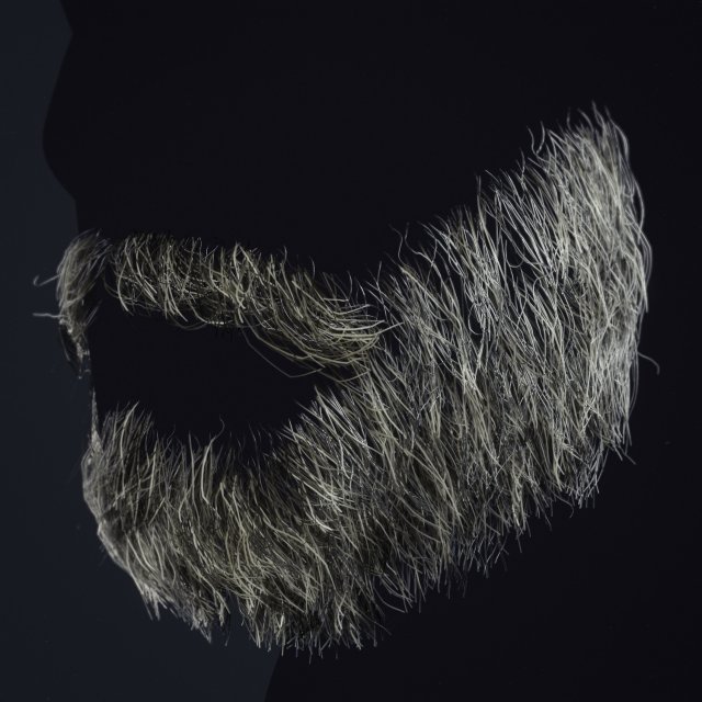 Beard RealTime 1 3D 모델 .c4d .max .obj .3ds .fbx .stl .blend 