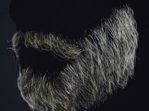 Beard RealTime 1 Modèle 3D