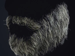 Barba RealTime 1 Modelo 3D