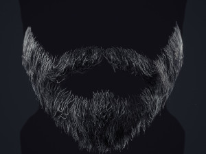 Beard RealTime 1 3D 모델