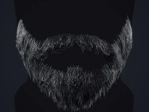 Barbe en temps r&eacute;el 1 Modèle 3D