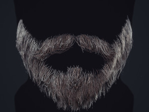 Beard RealTime 1 3D 모델