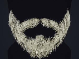 Beard RealTime 1 3D 모델