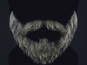 Beard RealTime 1 3D 모델