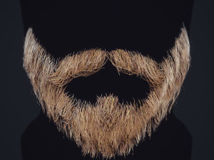 Beard RealTime 1 3D 모델