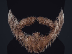 Beard RealTime 1 3D 모델
