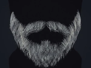 Barbe en temps r&eacute;el 1 Modèle 3D