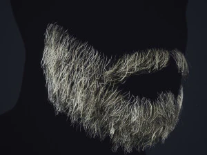 Barbe en temps r&eacute;el 1 Modèle 3D